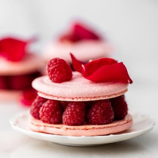 Ispahan Macarons - Recipe photo by poshlittledesigns