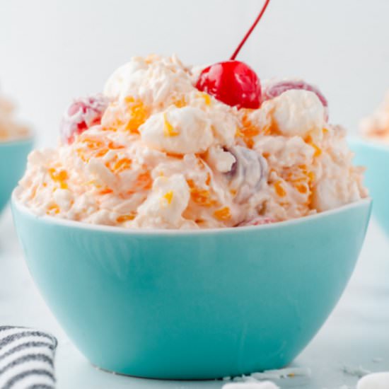 Ambrosia Salad - Recipe photo by shauna@thebestblogrecipes