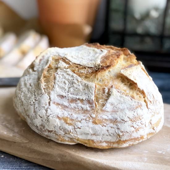 quick & easy no-knead artisan bread - Recipe photo by ahintofrosemary