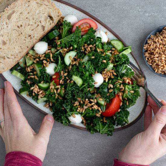 Sprouted Spelt Mediterranean salad - Recipe photo by Aredspatula