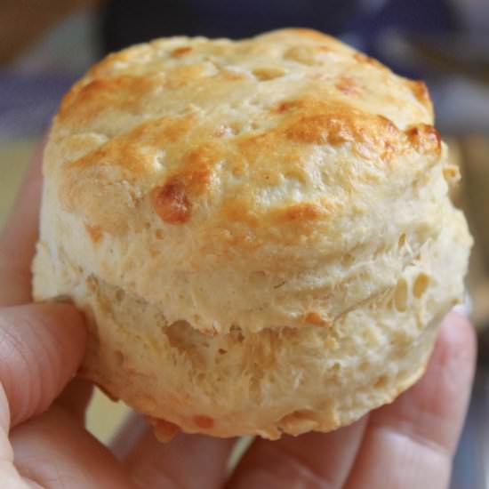 savory parsnip scones - Recipe photo by christinascucina