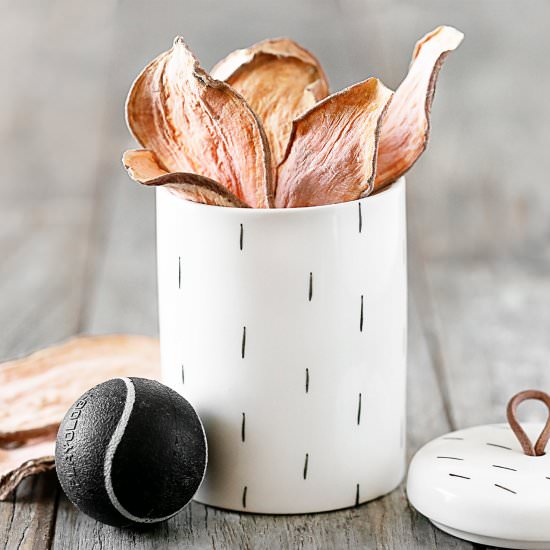 Sweet Potato Dog Treats - Recipe photo by livelaughrowe