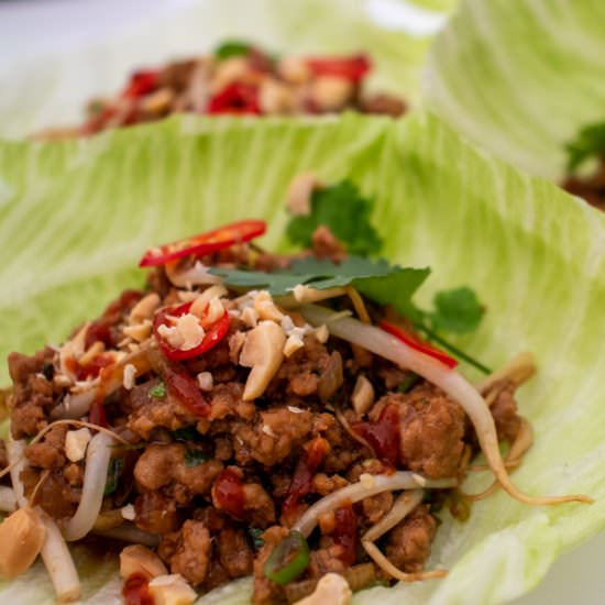SAN CHOY BAU LETTUCE WRAPS - Recipe photo by ATastyKitchen