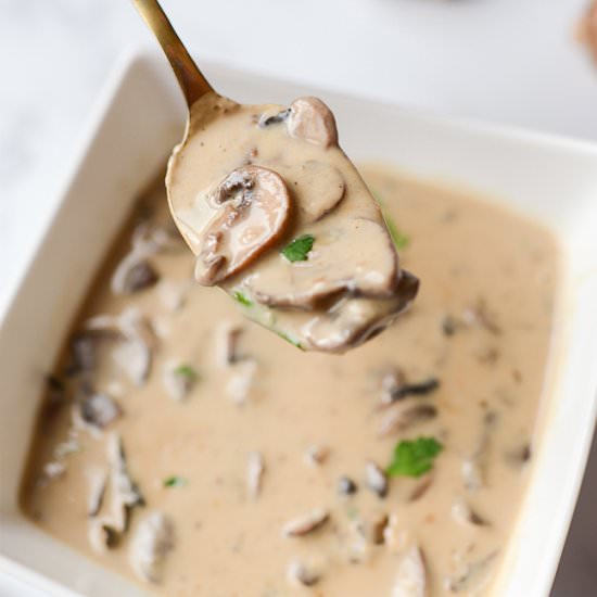Cream of Mushroom Soup - Recipe photo by tikkido
