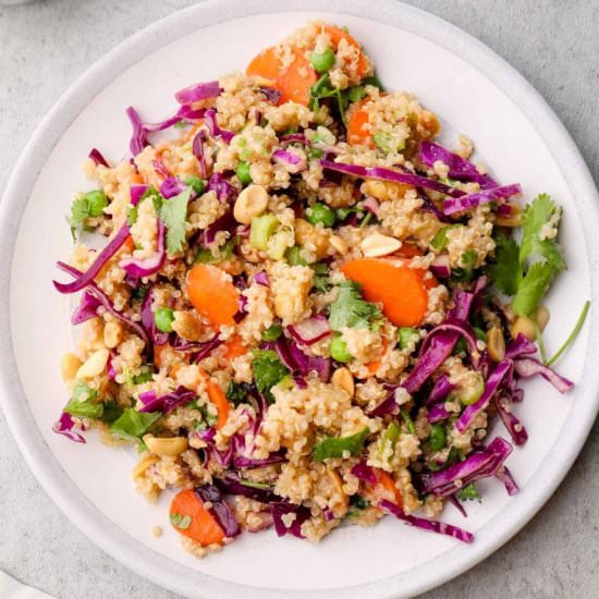 Veggie Quinoa Salad - Recipe photo by Darn Good Veggies