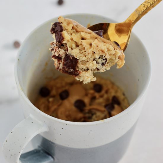Protein Powder Mug Cake - Recipe photo by cheerfulchoices