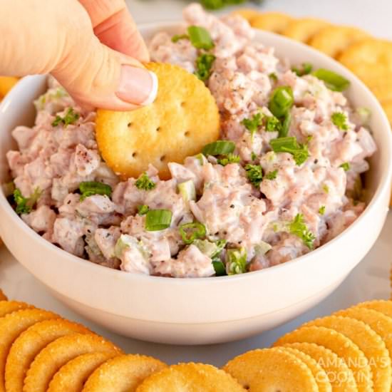 Ham Salad - Recipe photo by amandascookin