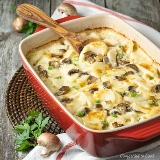 Potato and Mushroom Gratin - Recipe photo by Compelled To Cook