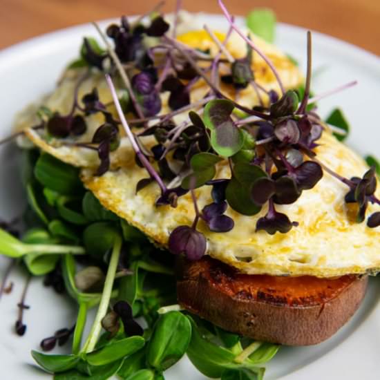 Sweet Potato Breakfast Rounds - Recipe photo by cookcraftcultivate