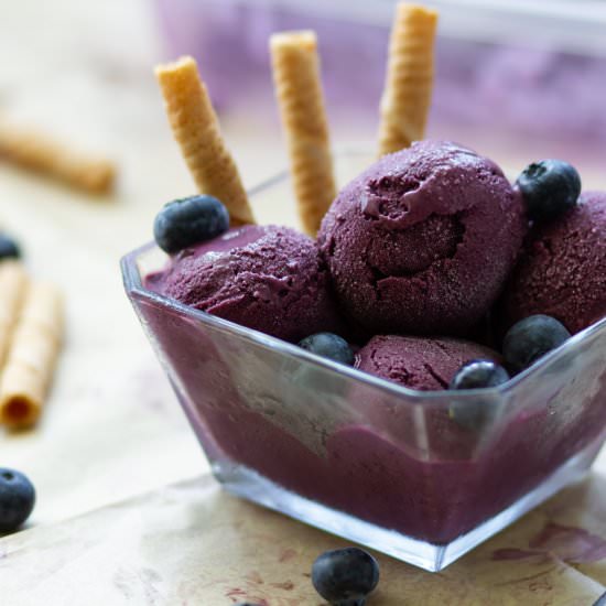 Blueberry ice cream - Recipe photo by mecooks.com
