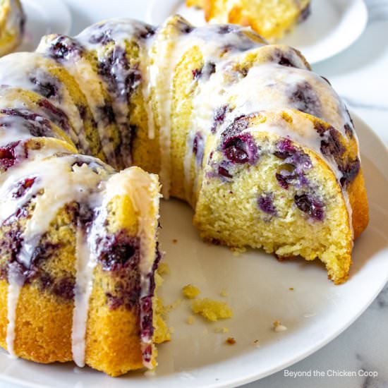 Blueberry Lemon Bundt Cake - Recipe photo by BeyondtheCoop