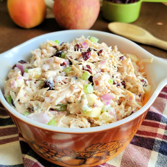Cranberry Apple Chicken Salad - Recipe photo by My Homemade Roots