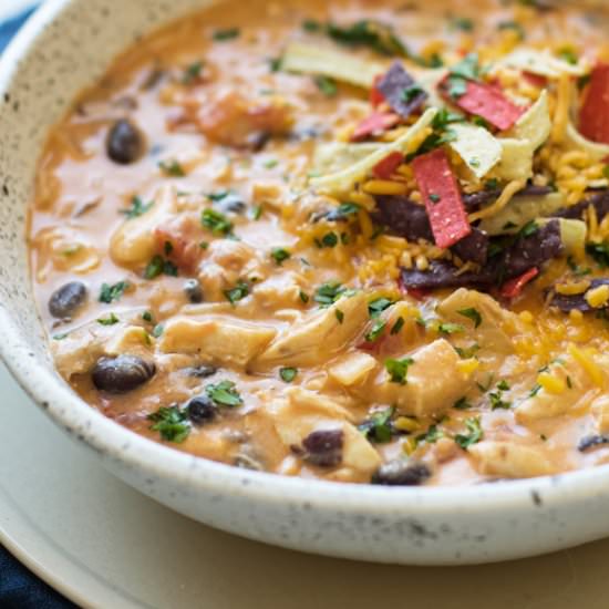 Chicken Enchilada Soup - Recipe photo by Girl Gone Gourmet
