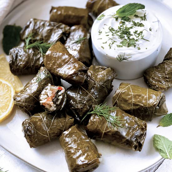 Dolmadakia – Stuffed Grape Leaves - Recipe photo by The Greek Foodie