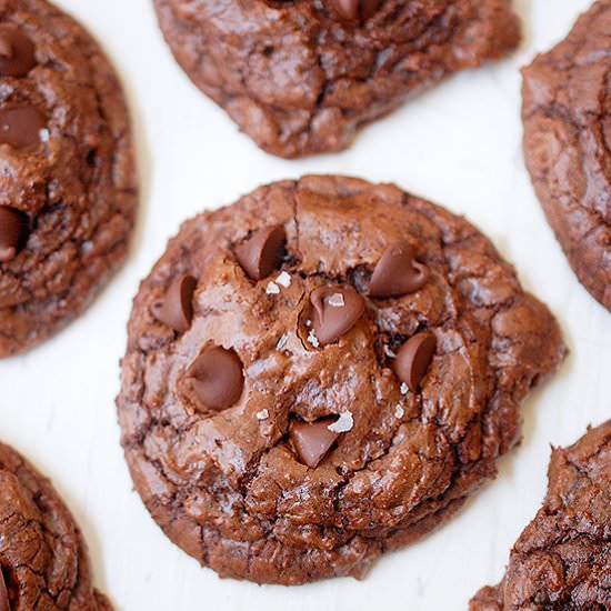 Double chocolate fudge cookies - Recipe photo by evabakes