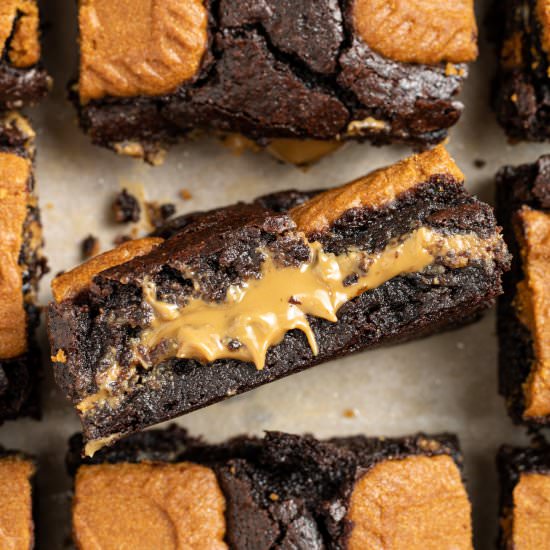 Fudgy Biscoff Brownies - Recipe photo by cookiedoughdiaries