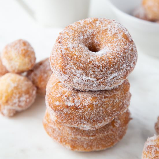 Biscuit Donuts - Recipe photo by giftofhospitality