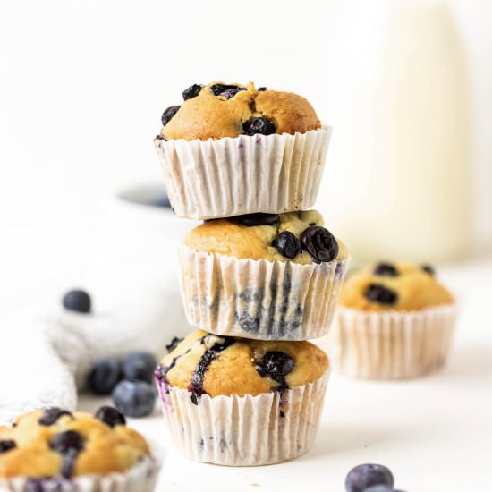Easy vegan blueberry muffins - Recipe photo by TheChestnutBakery