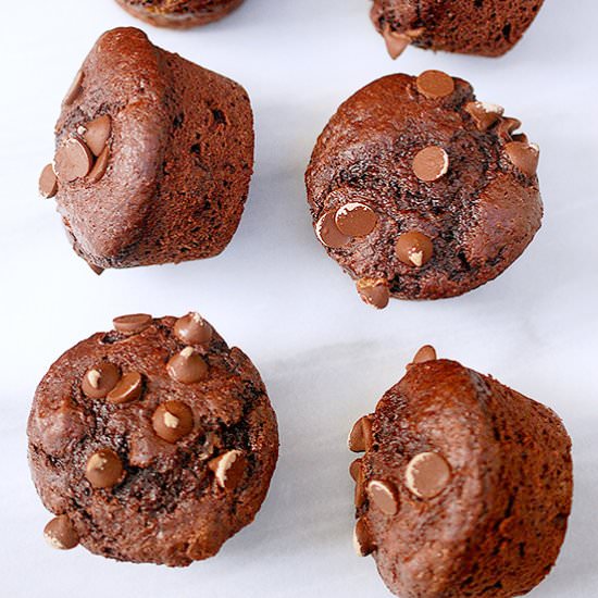 Soft double chocolate chip muffins - Recipe photo by evabakes