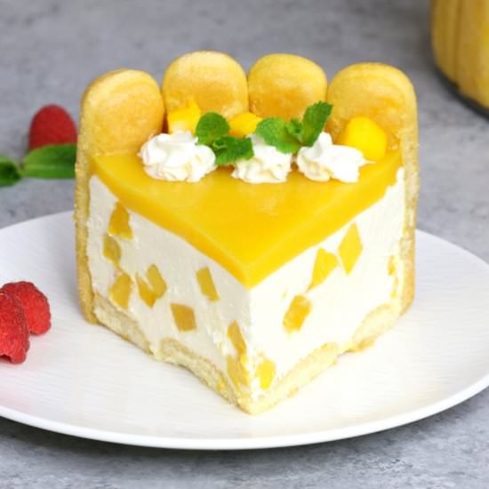 mango charlotte cake - Recipe photo by tipbuzz