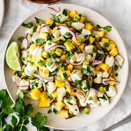 Mango Halibut Ceviche - Recipe photo by Downshiftology