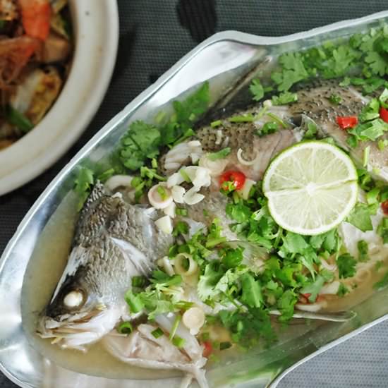 Thai Style Steamed Sea Bass - Recipe photo by BearNakedFood