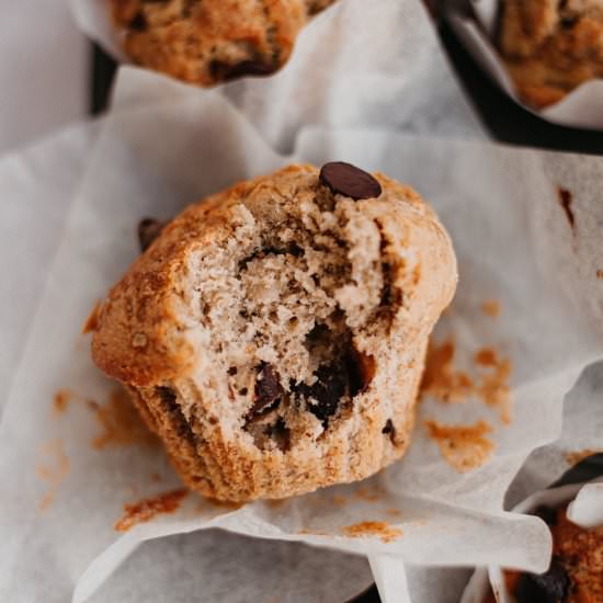 Banana Oat Chocolate Chip Muffins - Recipe photo by alpineella
