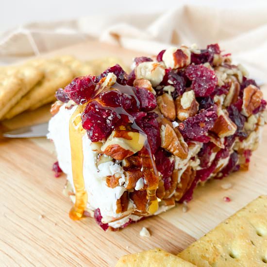 Cranberry Pecan Goat Cheese Log - Recipe photo by Sugarylogic