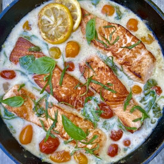 COCONUT CREAM SALMON WITH TOMATOES - Recipe photo by jonnakeohane