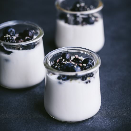 Homemade Coconut Yogurt - Recipe photo by lesyaholzapfel