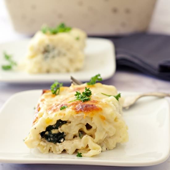 Spinach Lasagna roll-ups - Recipe photo by Elke living