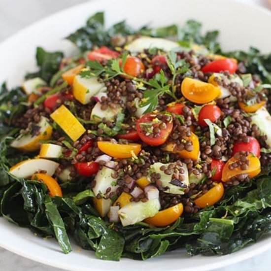 Veggie Greek Lentil Salad - Recipe photo by FitLiving Eats