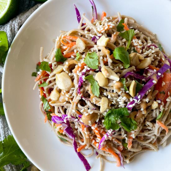 Vegetarian Soba Noodle Salad - Recipe photo by frozen_bananas_