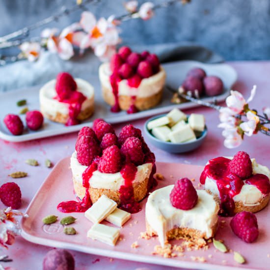 White choc & raspberry cheesecakes - Recipe photo by AnushaLovesSpice
