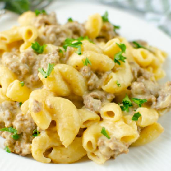 One Pot Cheeseburger Mac - Recipe photo by fakeginger