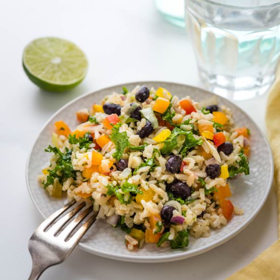 Healthy Black Bean and Rice Salad - Recipe photo by garlic and zest