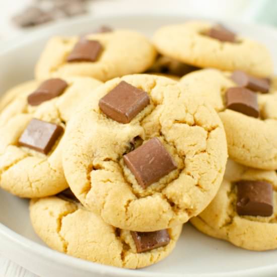Peanut Butter Chocolate Cookies - Recipe photo by fakeginger