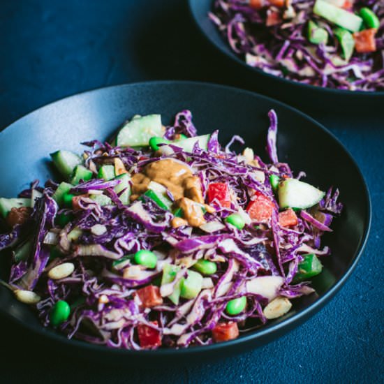 Rainbow Slaw with Peanut Dressing - Recipe photo by lesyaholzapfel