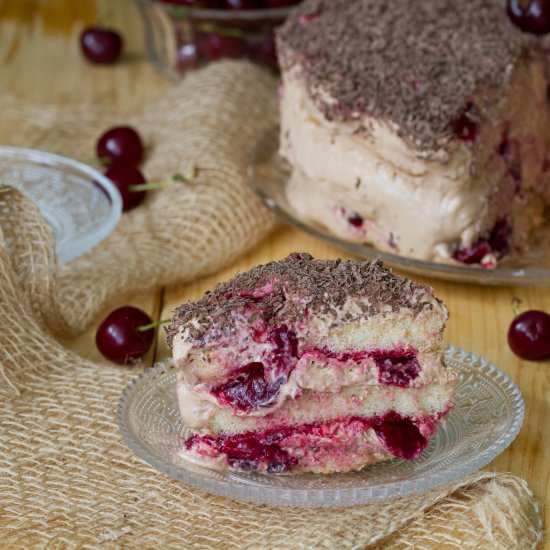 No-bake fudge mousse cake - Recipe photo by mecooks.com