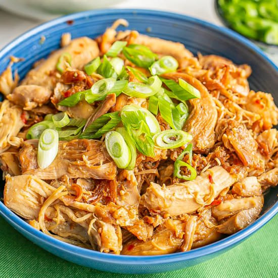 Instant Pot honey garlic chicken - Recipe photo by Family Food on the Table