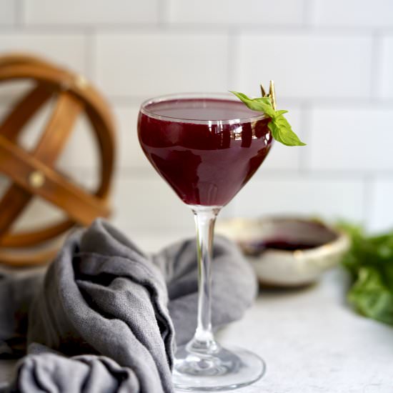 Blueberry-Basil Vodka Gimlet - Recipe photo by simmerandsauce