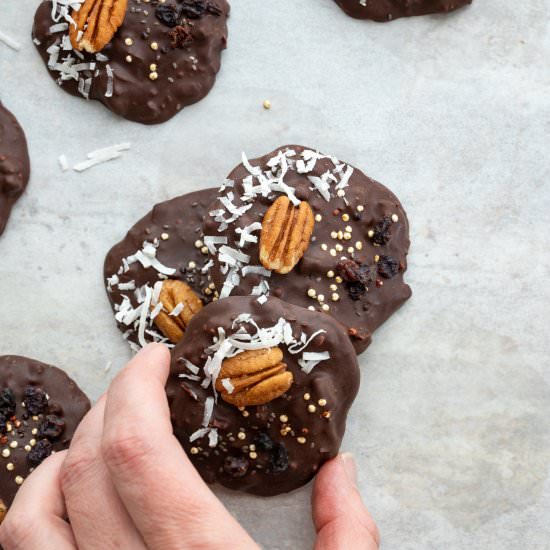 Superfood Chocolate Disks - Recipe photo by Aredspatula