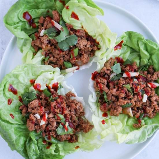 Asian Chicken Lettuce Wraps - Recipe photo by lesyaholzapfel