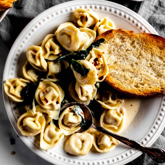 easy tortellini in white wine cream - Recipe photo by whisked away kitchen