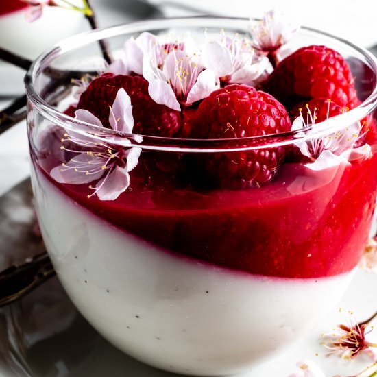 vanilla bean coconut panna cotta - Recipe photo by whisked away kitchen