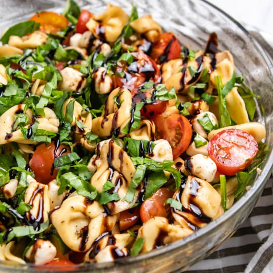 Tortellini Caprese Pasta Salad - Recipe photo by lemons and zest