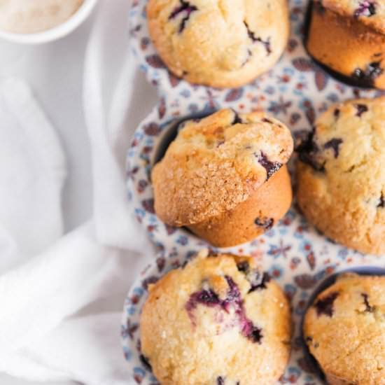 Bakery-Style Blueberry Lemon Muffin - Recipe photo by amandawilens
