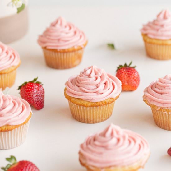 Small Batch Vanilla Cupcakes - Recipe photo by amandawilens