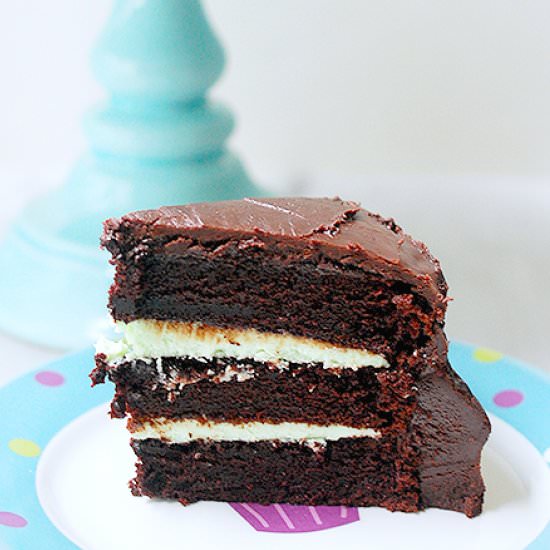 Chocolate mint cake - Recipe photo by evabakes