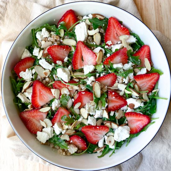Arugula Farro Salad - Recipe photo by Sugarylogic